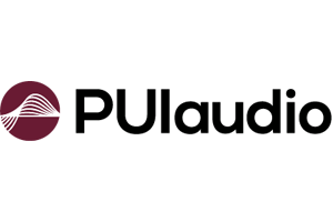 PUI-audio.png